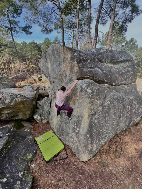 Un air de printemps sur le massif de Fontainebleau