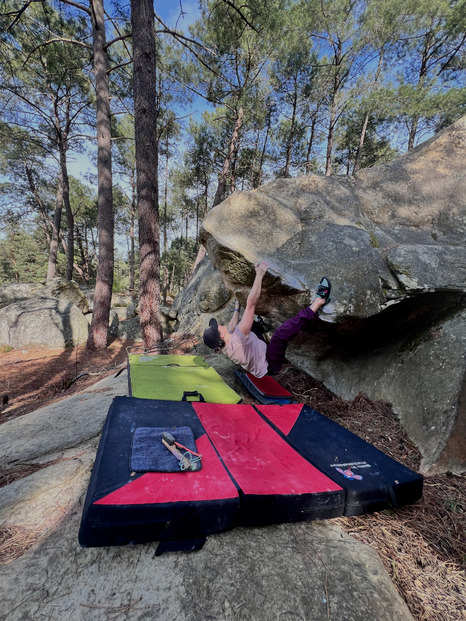 Un air de printemps sur le massif de Fontainebleau