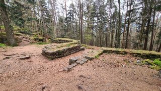 Sortie trail autour du Mont Saint-Odile