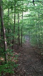 Ça sent le sentier