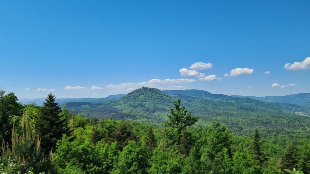 Sortie trail proche du Haut-Koenigsbourg