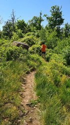 Sortie trail proche du Haut-Koenigsbourg
