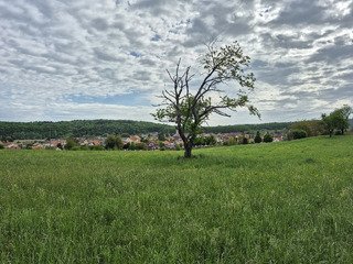 Sur les traces du GTJ