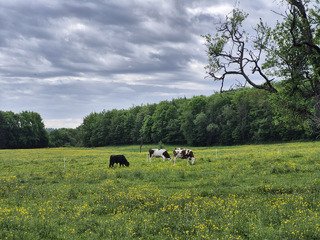 Sur les traces du GTJ