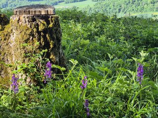 Sur les traces du GTJ
