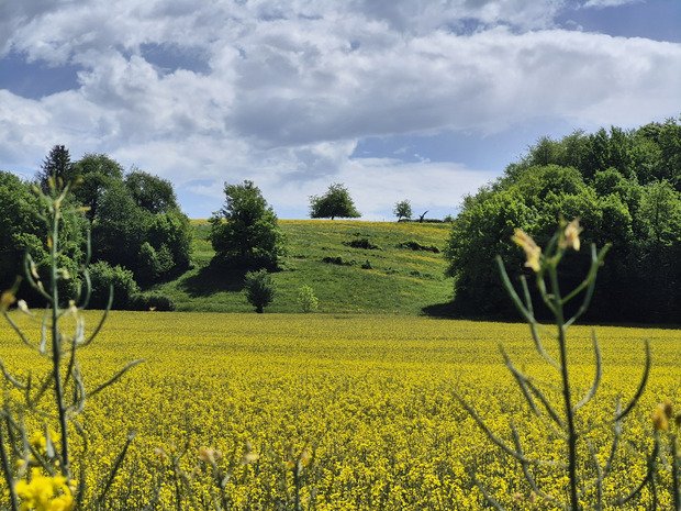 Sur les traces du GTJ