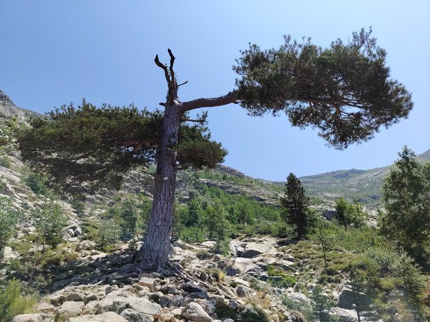 Un classique dans la vallée de callacucia 