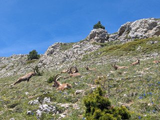 Boucle de 50 Kms en rando dans le Vercors
