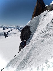 Le printemps aux cosmiques 