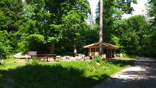 Parenth&egrave;se foresti&egrave;re 