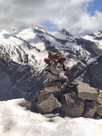 Traversées du Queyrel et du Lingustier