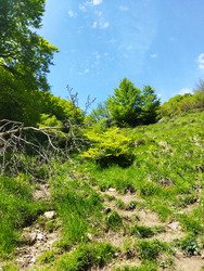 Boucle de Lazerque en VTT