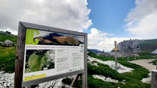 Charmant Som, montée sèche, descente humide !