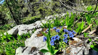 &Agrave; la recherche du gr&acirc;al : Le Gouffre Berger
