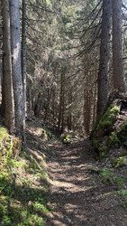 Bozel-Plan Fournier