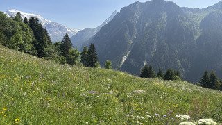 Bozel-Plan Fournier