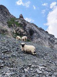 Col de gemmi Valais 