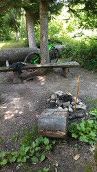 Roule forêt 