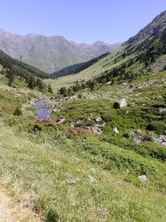 Sortie VTT two in one et bien cuite... 🏔️