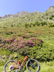Sortie VTT two in one et bien cuite... 🏔️