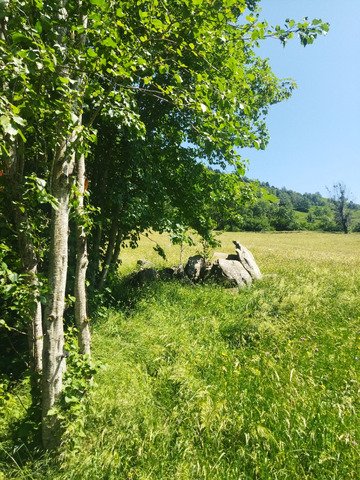 Sortie VTT two in one et bien cuite... 🏔️