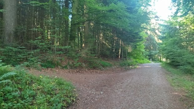 Quelques sensations à la fraiche