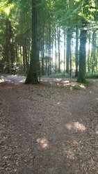 Quelques sensations à la fraiche