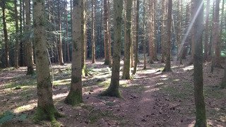 Quelques sensations &agrave; la fraiche