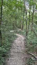 Enduro au dessus de Brison