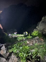 Objectif croix, sommeil zéro 
