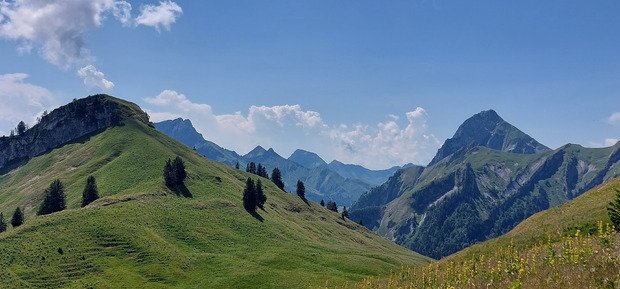 Les Beauges, c'est vert 😎😎