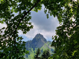 Les Beauges, c'est vert 😎😎