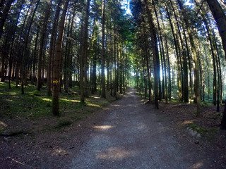 Un live à boire très frais
