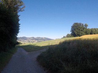 Un live à boire très frais