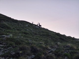 Tour du Cervin