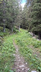 TDF au col de la Loze
