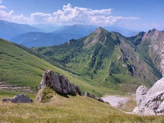 C'est vert...et c'est beau 🤩🤩