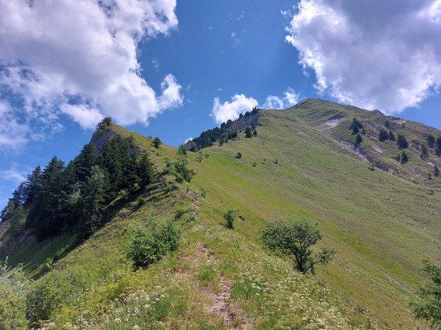 C'est vert...et c'est beau 🤩🤩