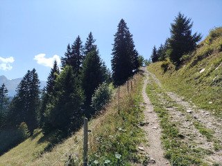 Boucle vtt