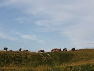 A la descente du Mercure