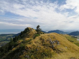 A la descente du Mercure