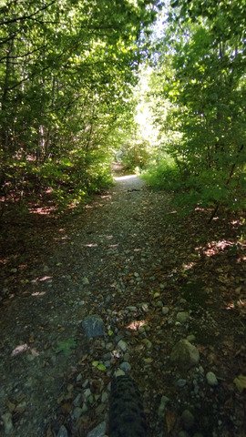 L'après Taf forêt 