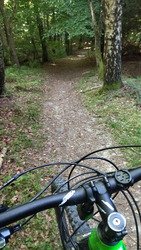 L'après Taf forêt 