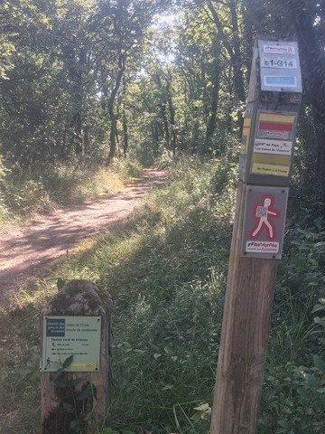 Belle randonnée pédestre en Essonne 