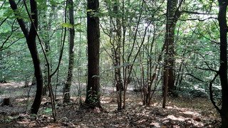 Slov&eacute;nie, Ljubljana - Urban trail?