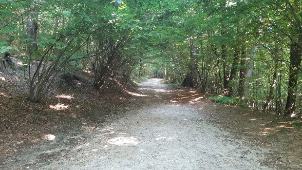 Slovénie, Ljubljana - Urban trail?