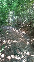 Slovénie, Ljubljana - Urban trail?