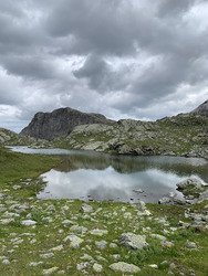 Rencontres animales - Les lacs du Mont Coua