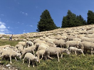 Boucle familiale vers Pravouta 🐑