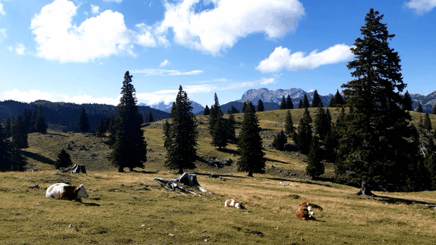 Slovénie - Vlalika planina